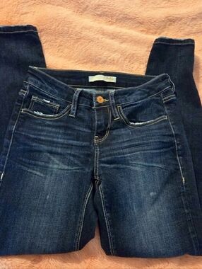 Daytrip Dark Wash Skinny Jeans - Size 24